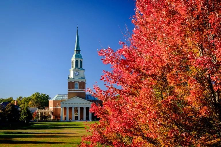Wake Forest University
