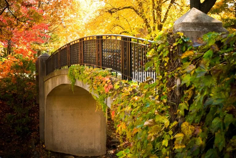 Worcester Polytechnic Institute