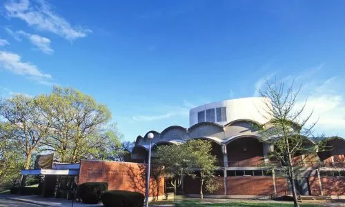 布兰迪斯大学
