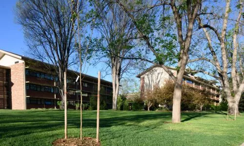 科罗拉多州立大学