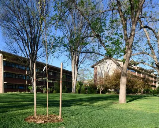 科罗拉多州立大学