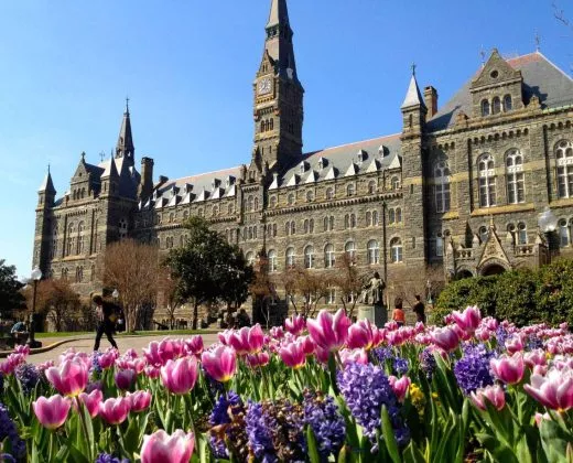 乔治敦大学