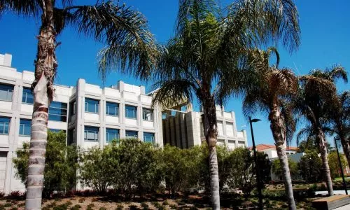 洛约拉马利蒙特大学