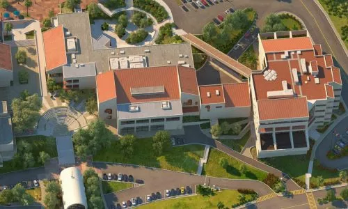 佩珀代因大学
