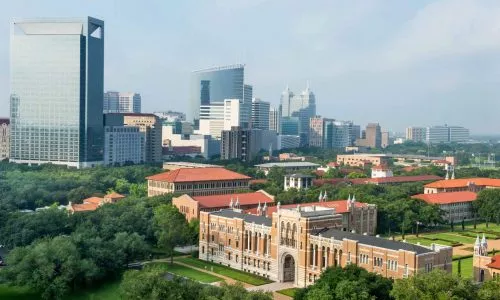 莱斯大学