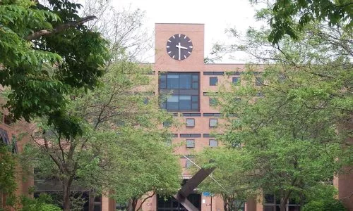 罗彻斯特理工学院