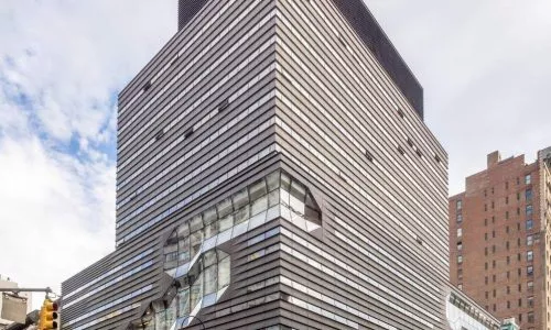 新学院