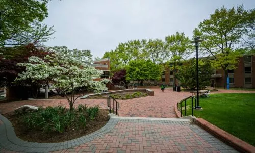 美国陶森大学