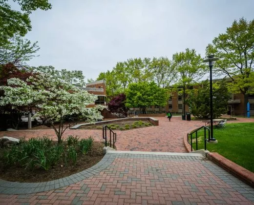 美国陶森大学