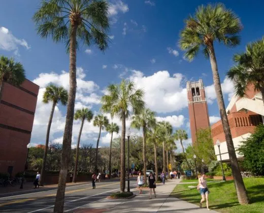 佛罗里达大学