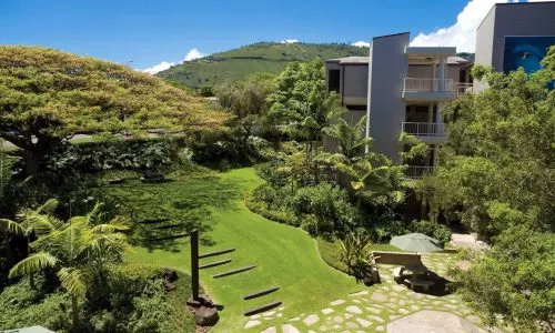 夏威夷大学马诺阿分校