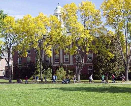 缅因大学