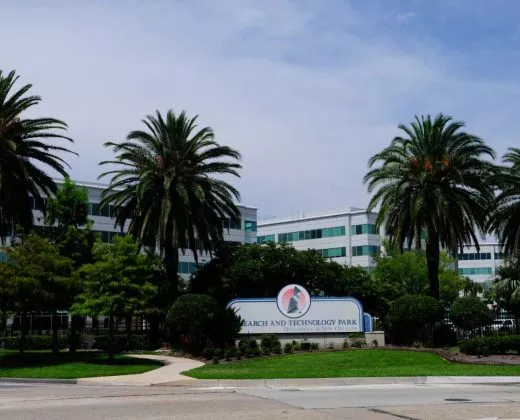 新奥尔良大学