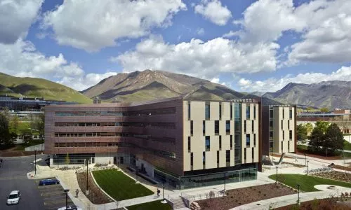 犹他大学