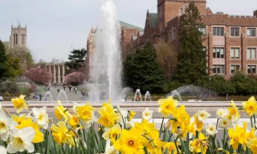 University of Washington-Seattle Campus22